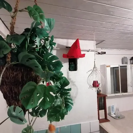 Ritvala, Hyvien Kulkuyhteyksien Varrella Teuvalla! * Riippi
